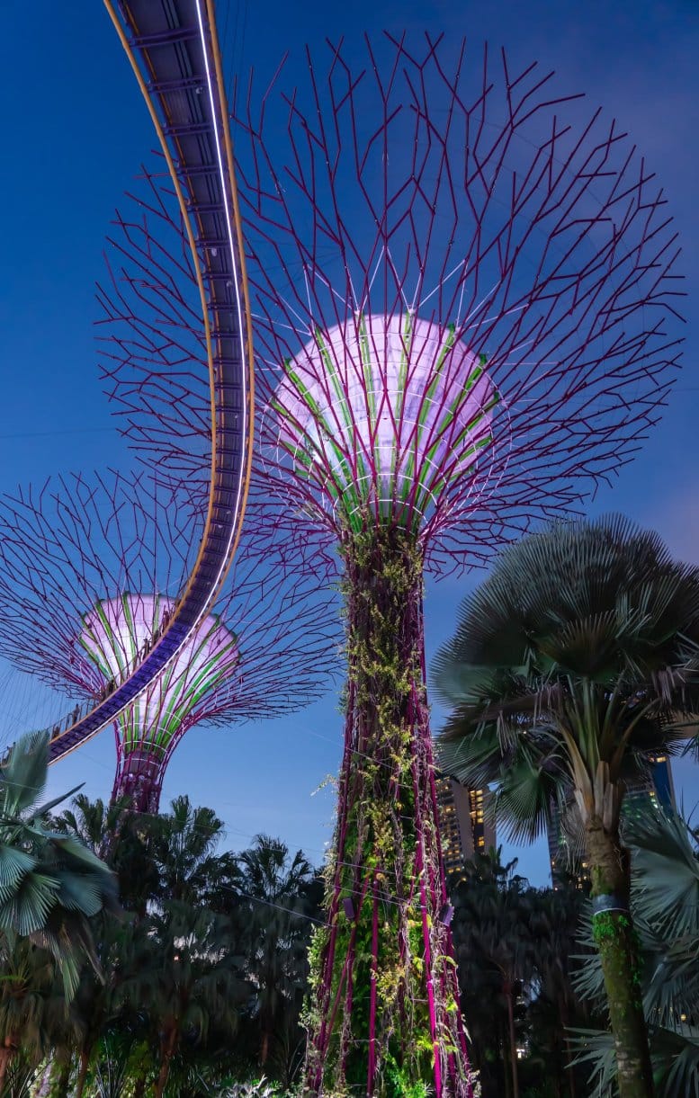 BEST SINGAPORE SINGAPORE PACKAGE MY TRAVELTRIP PUNE