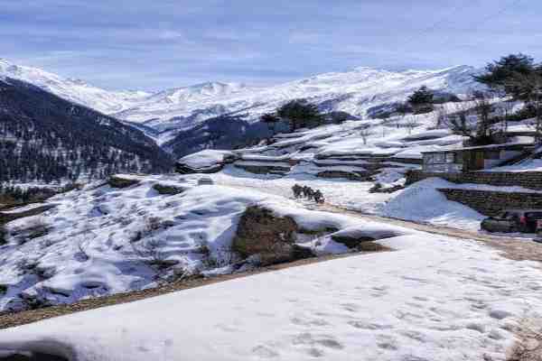 my traveltri pune best travel agency in pune