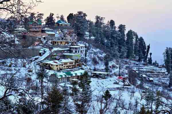 my traveltri pune best travel agency in pune