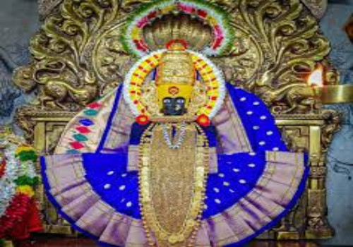 my traveltrip pune best travel agency in pune