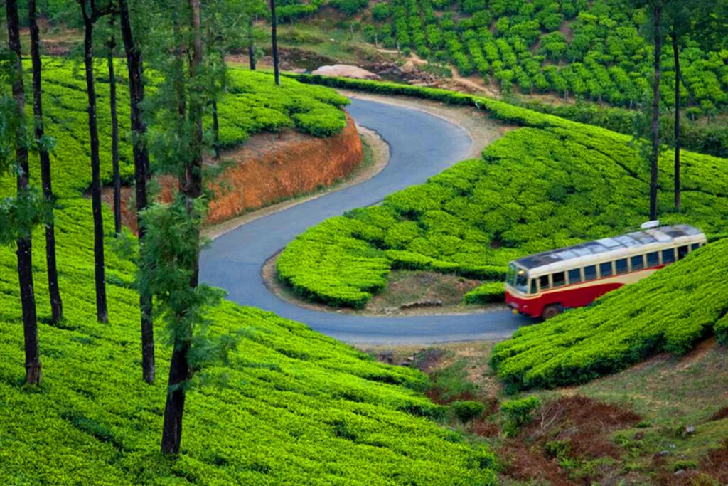 munnar11-1024x683.jpg