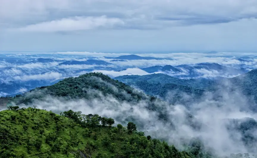 ooty-coorg-wayanad-tour3