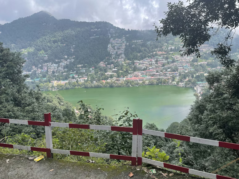 photo-1670563545059-d6d95d8b7b15