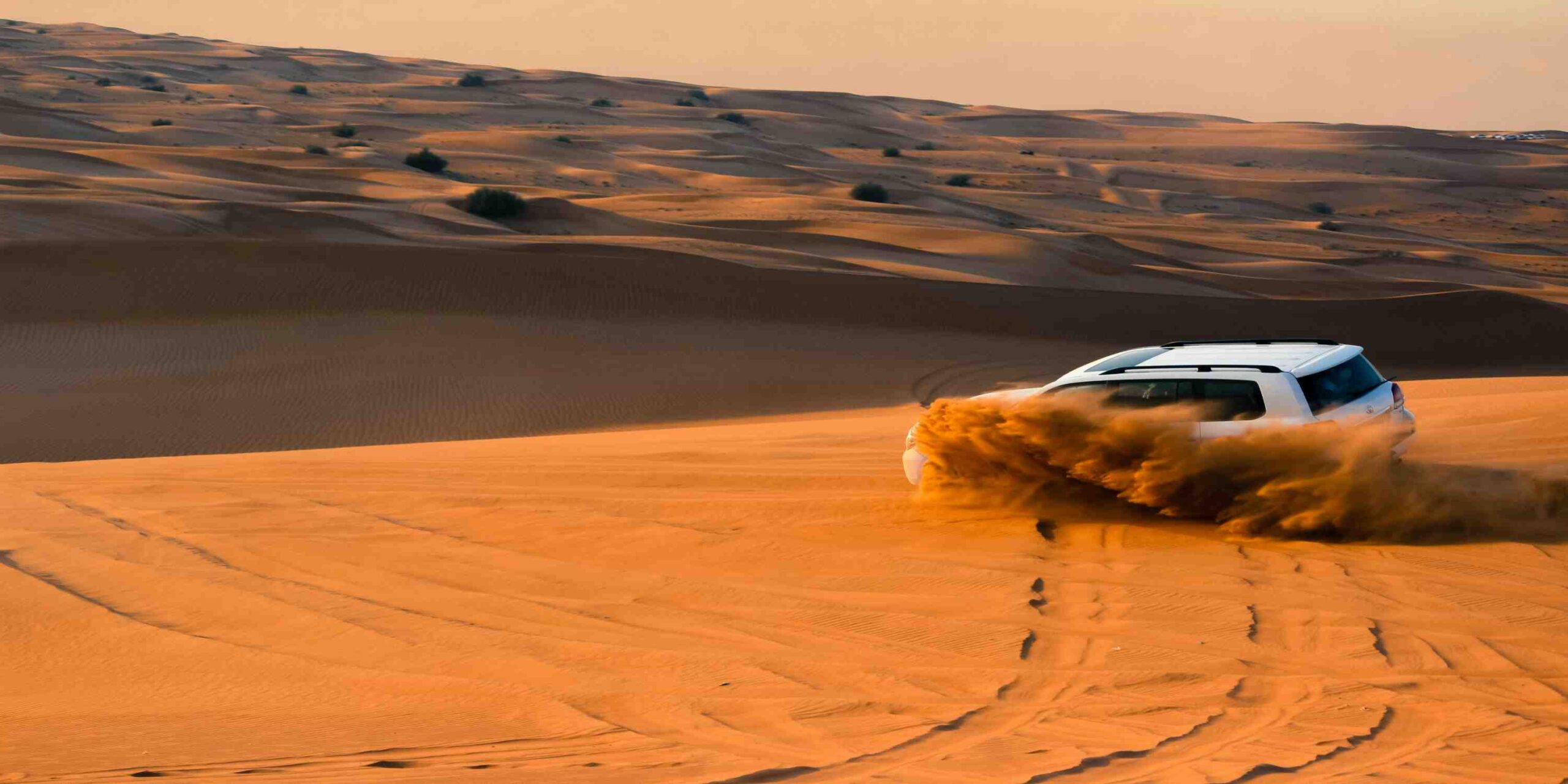 desert safari dubai my traveltrip pune