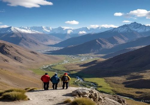 IMG-20250715-WA0020(1)