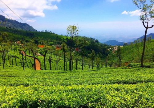 Short Coorg Weekend Tour Package