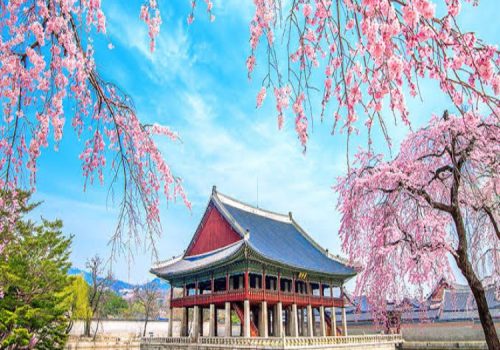 images (11) images (11)