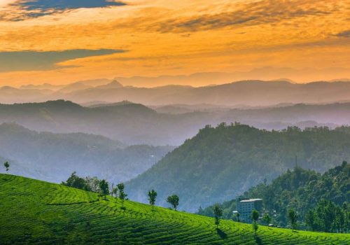 kerala tour travel agents in pune My traveltrip Pune Best travel agency in Pune