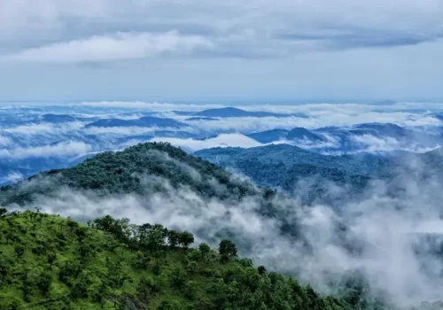 ooty-coorg-wayanad-tour3