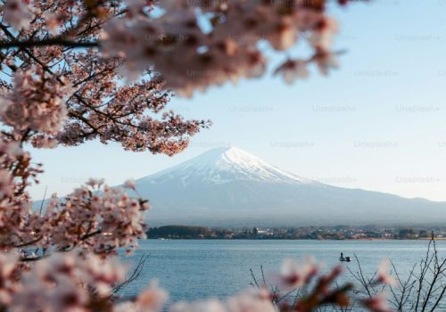 premium_photo-1690749740487-01bbb8e51e71 japan tour paints best travel agency my traveltrip pune